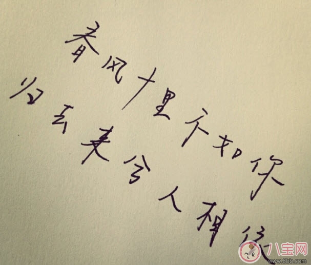 春风体挑战|春风体是什么意思 春风十里不如你春风体挑战