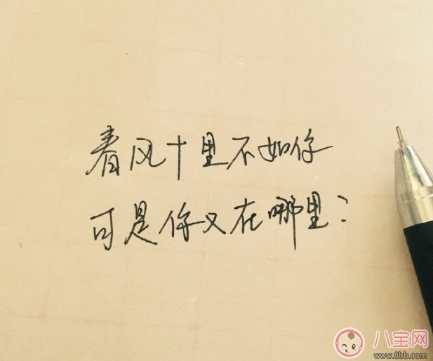 春风体挑战|春风体是什么意思 春风十里不如你春风体挑战