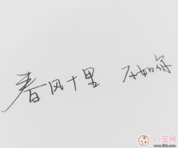 春风体挑战|春风体是什么意思 春风十里不如你春风体挑战