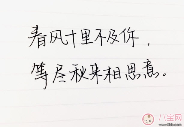 春风体挑战|春风体是什么意思 春风十里不如你春风体挑战