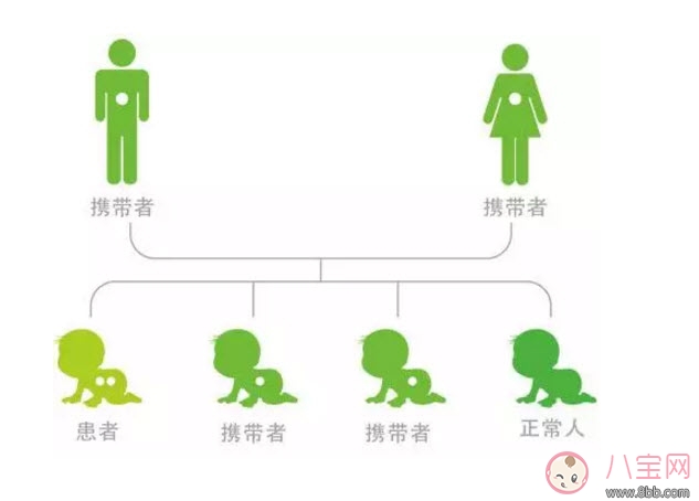 遗传|蚕豆病的遗传规律是什么 蚕豆病母亲传给儿子父亲传给女儿