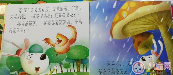 故事|儿童睡前故事：美丽的星星雨