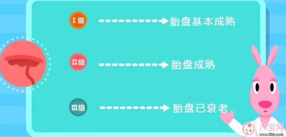 补钙|孕晚期补钙会导致胎盘老化吗 孕晚期补钙会不会导致胎盘老化