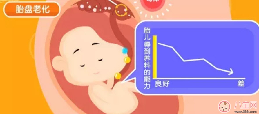 补钙|孕晚期补钙会导致胎盘老化吗 孕晚期补钙会不会导致胎盘老化