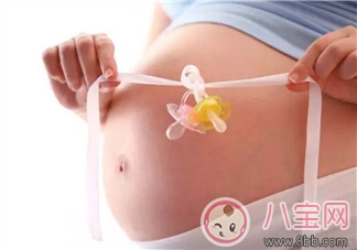 安胎|夏季安胎吃安胎养身粥 健康营养多