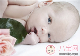 肺|新生儿肺部有问题 可能是因为妈妈太胖