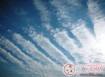 孩子|地震孩子如何自救 爸爸妈妈不在身边怎么保护自己