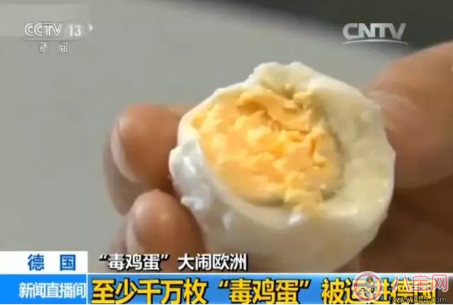 鸡蛋|毒鸡蛋对欧洲影响很大 中国的鸡蛋还能吃吗