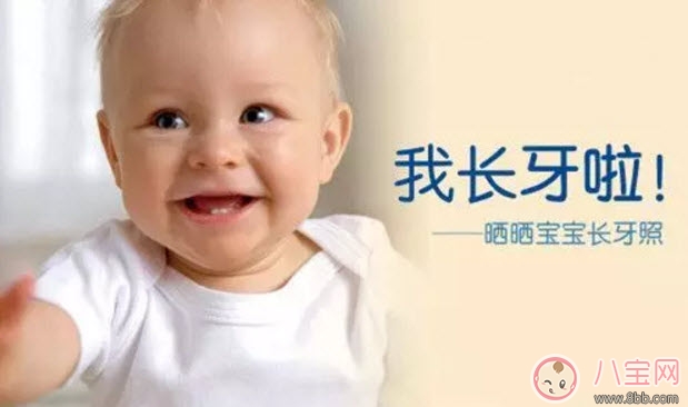 长牙期|宝宝长牙期间吃什么好 宝宝长牙吃什么辅食食谱