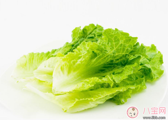 宝宝|宝宝爱吃生菜怎么做 宝宝最适合吃的生菜做法