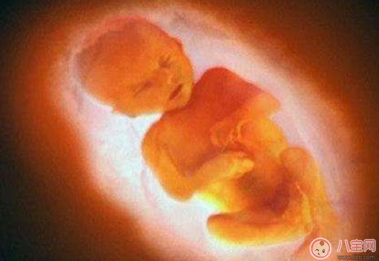 B超|孕妇四维彩超的最佳时间 孕妇一定要做四维彩超吗