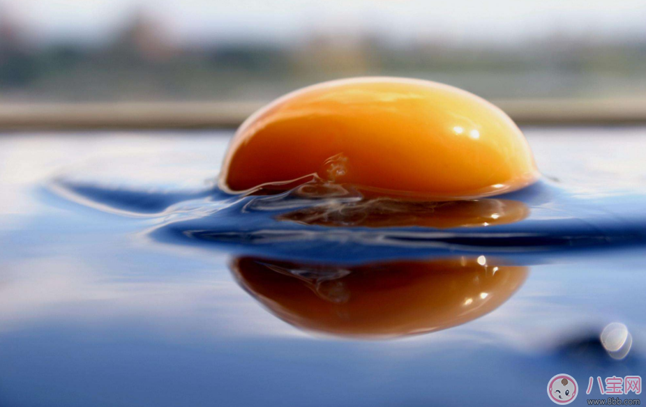 鸡蛋|怀孕鸡蛋别乱吃 这样补充才最健康