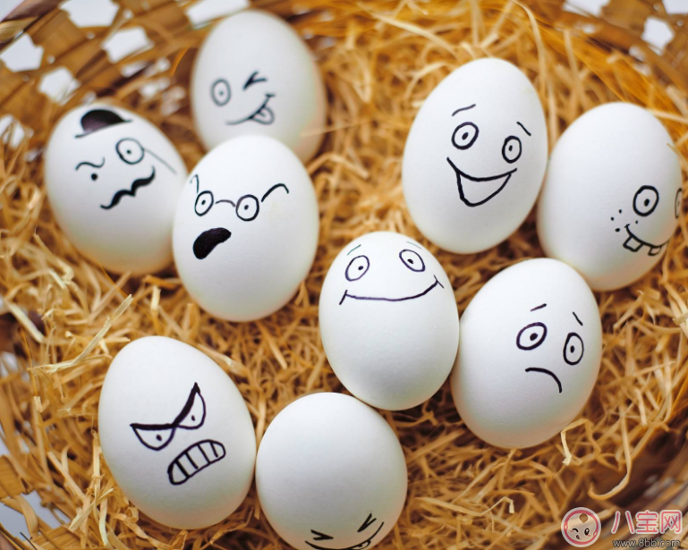 鸡蛋|怀孕鸡蛋别乱吃 这样补充才最健康