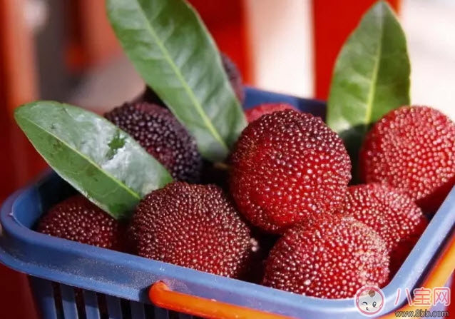 杨梅|孕妇可以吃新鲜杨梅吗 孕妇吃杨梅注意事项