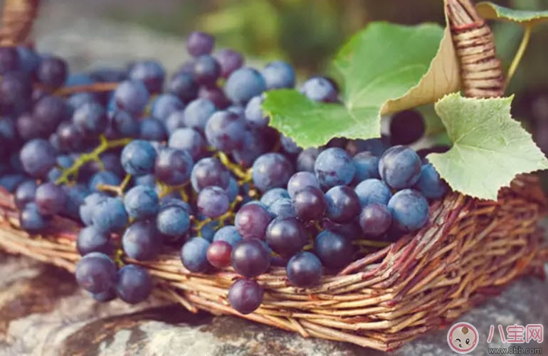葡萄|孕妇每天可以吃多少葡萄 怀孕吃葡萄有什么好处