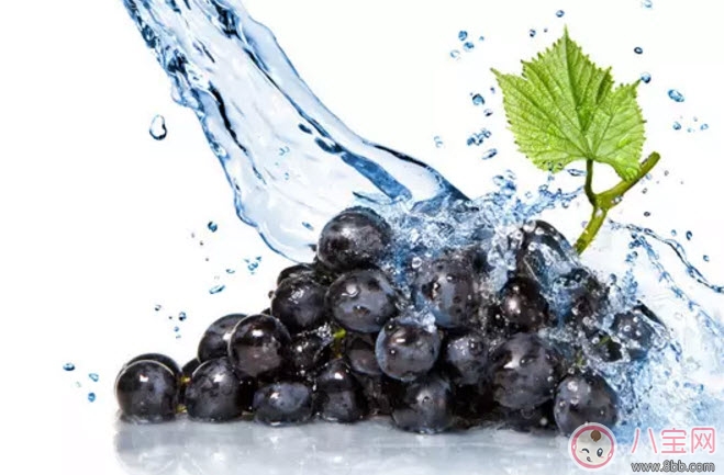 提子|孕妇吃哪一种葡萄好 孕妇吃葡萄好还是提子好