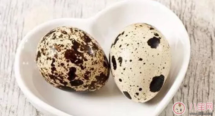 鹌鹑蛋|孕妇吃鹌鹑蛋会长斑吗 孕妇鹌鹑蛋每天吃几个(3-4个)
