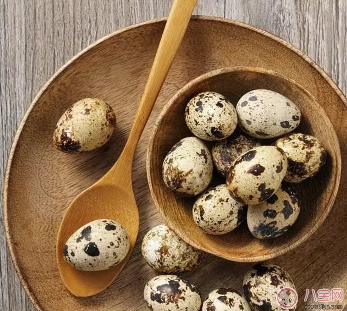 鹌鹑蛋|孕妇吃鹌鹑蛋会长斑吗 孕妇鹌鹑蛋每天吃几个(3-4个)