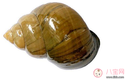 福寿螺|福寿螺危害极大 生活中有哪些东西最好避开不吃