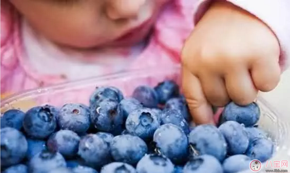 辅食|宝宝食用蓝莓好处多 帮助骨骼生长