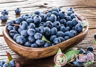 辅食|蓝莓辅食营养高 如何给宝宝吃