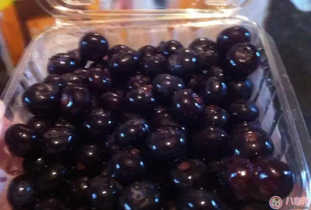 辅食|蓝莓辅食营养高 如何给宝宝吃