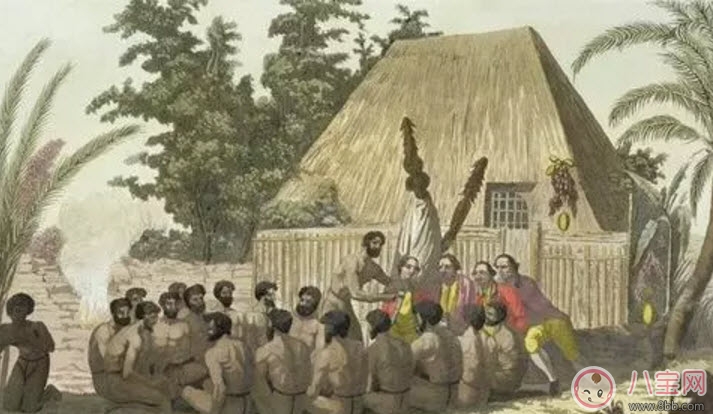 副作用|奇亚籽为什么这么火 奇亚籽的功效与作用(奇亚籽副作用)