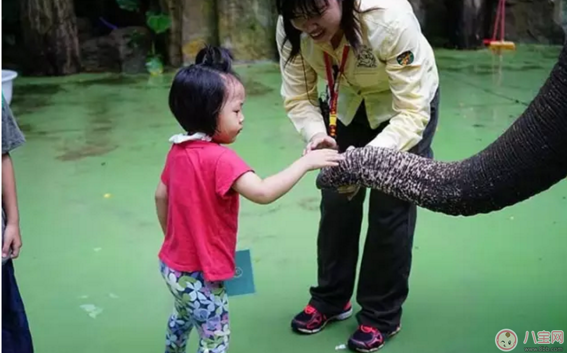 出游|2017七夕节全家出游看看长隆亲子攻略