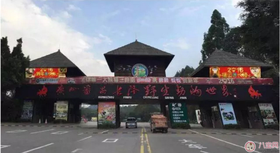 出游|2017七夕节全家出游看看长隆亲子攻略