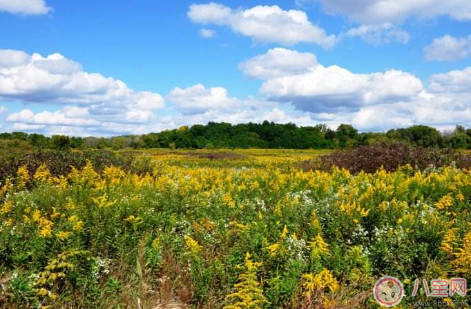 立秋|贴秋膘怎么吃好 做什么吃最有食欲