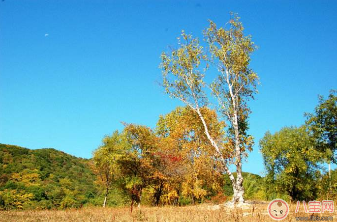 立秋|贴秋膘怎么吃好 做什么吃最有食欲