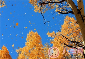 秋燥症|如何预防婴幼儿秋燥症宝宝秋燥症怎么吃