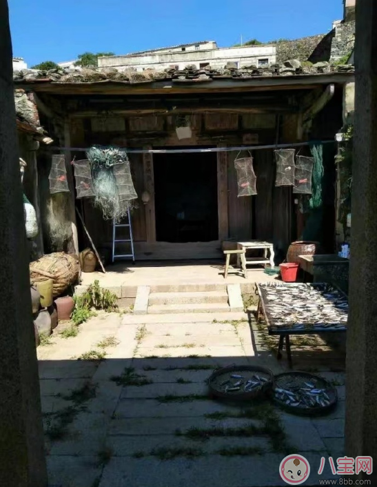 嘉宾|爸爸去哪儿5什么时候播 爸爸去哪儿5播出时间