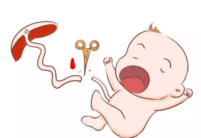 宝宝|宝宝脐带血有必要保存吗 宝宝的脐带血应该如何处理
