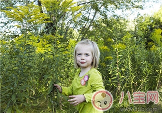 成长|二三岁宝宝成长发展宝宝成长有哪些问题