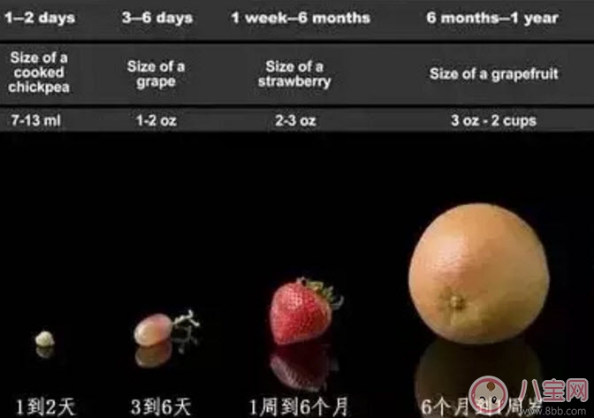 宝宝|0-12月宝宝奶量标准 早产儿每日需要多少奶量