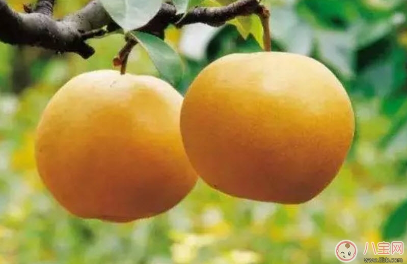 秋燥|孕妇秋燥怎么调理吃什么好 孕妇秋燥如何护理皮肤