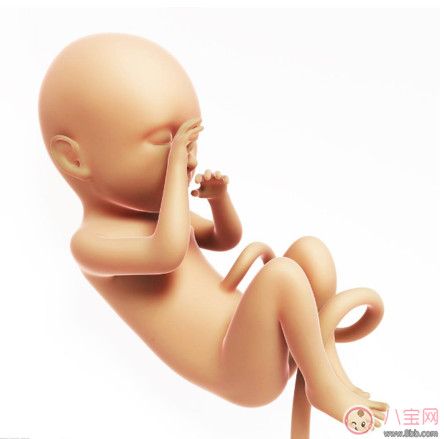 准妈妈|胎儿在肚子里哭能感觉到吗 胎儿在准妈妈肚子变化