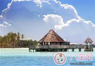 明星|让周冬雨欲罢不能的中餐厅明星菜式制作合集