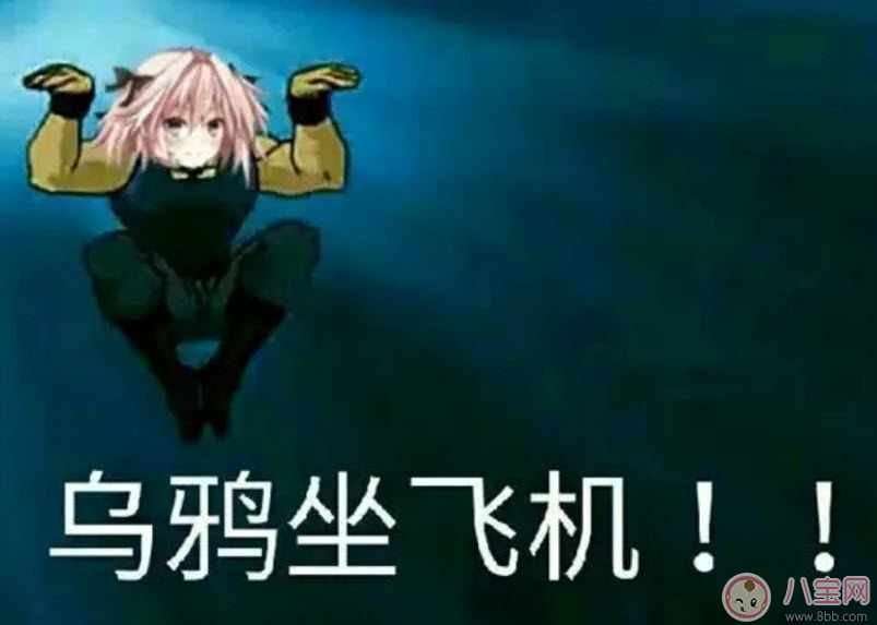 表情包|乌鸦坐飞机什么梗 阿福乌鸦坐飞机第几集