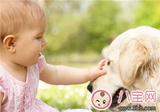 咬伤|宝宝被各种宠物抓咬伤的紧急处理措施