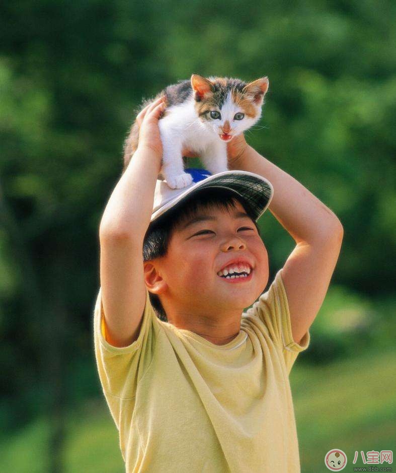 处理|宠物攻击性测试方法 宝宝被宠物咬伤的正确处理