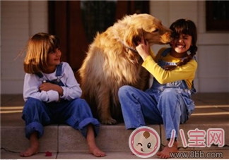 处理|宠物攻击性测试方法 宝宝被宠物咬伤的正确处理