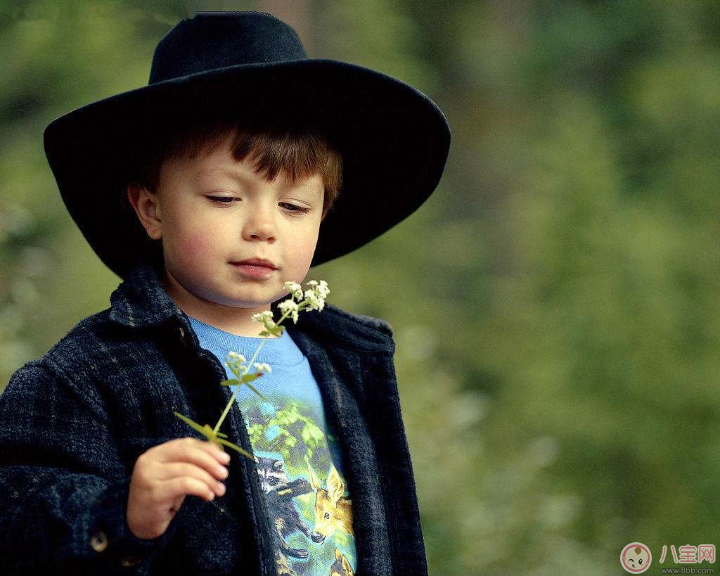 教育|如何教育男孩子成就男孩健全性格