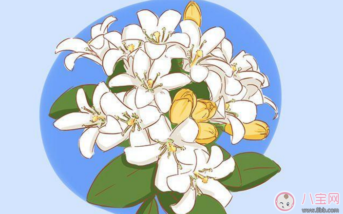 宝宝|探望宝宝的送什么好 送孩子东西这些要避开