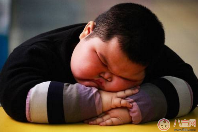 肥胖|小孩肥胖的危害有哪些 2017儿童肥胖问题大全