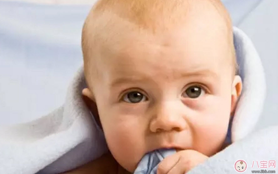 衣服|新生儿怎么穿衣服合适 新生儿穿多少衣服合适