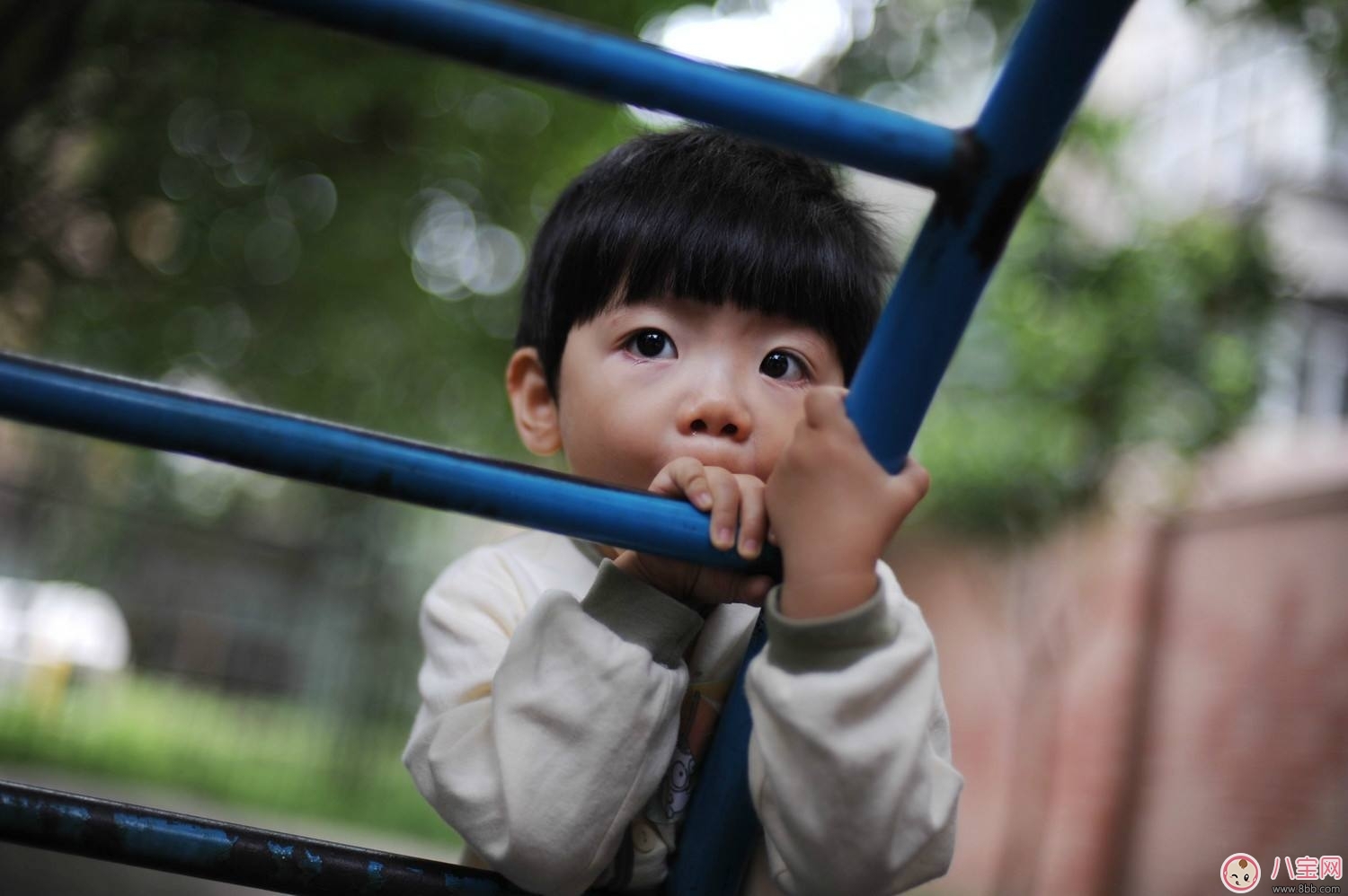 焦虑|宝宝上幼儿园哭闹怎么办如何改善宝宝的情况