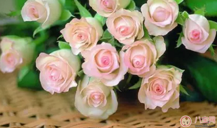 礼物|2017七夕节应该送老婆什么礼物最有心？