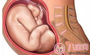 剖腹产|怀孕后那些情况不能顺产 有些时候多听医嘱准没错